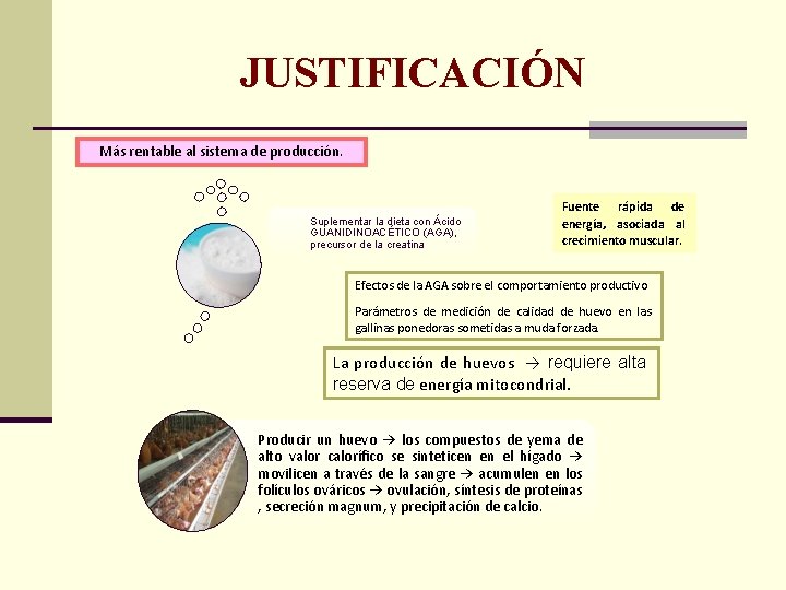 JUSTIFICACIÓN Más rentable al sistema de producción. Suplementar la dieta con Ácido GUANIDINOACÉTICO (AGA),
