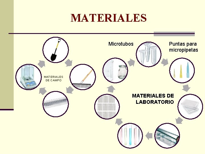 MATERIALES Microtubos Puntas para micropipetas MATERIALES DE CAMPO MATERIALES DE LABORATORIO 