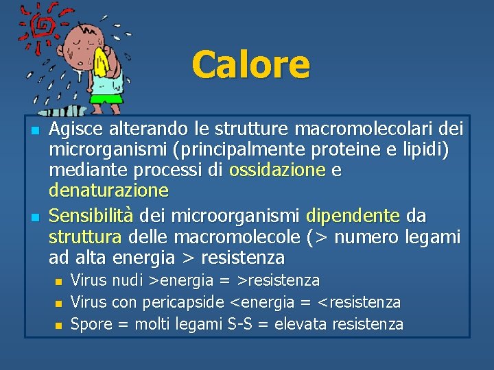 Calore n n Agisce alterando le strutture macromolecolari dei microrganismi (principalmente proteine e lipidi)