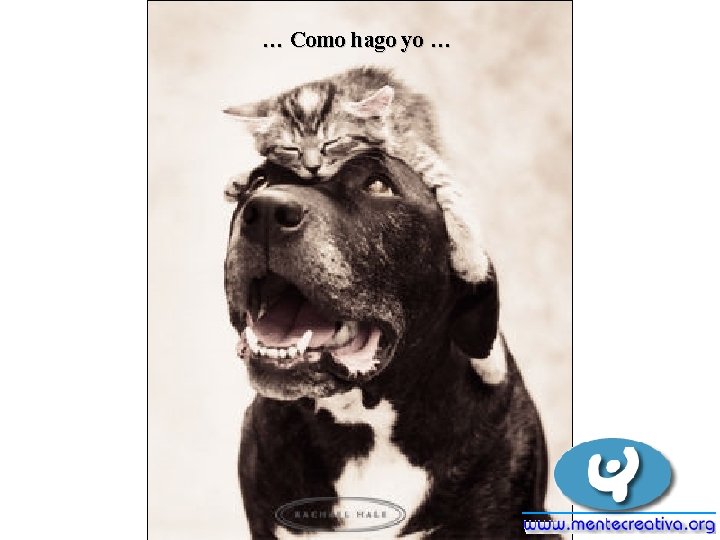 … Como hago yo … … Como hago yo …