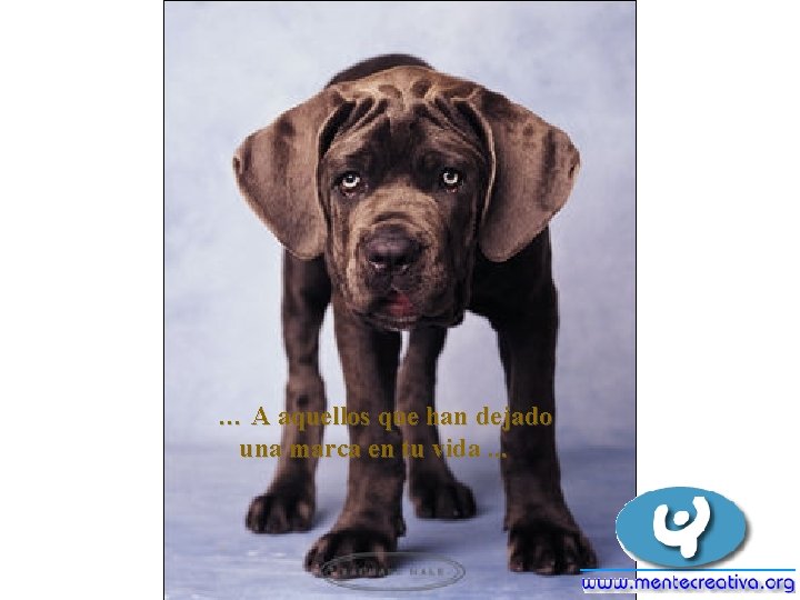 … A aquellos que han dejado una marca en tu vida. . . … A aquellos que han dejado una marca en tu vida. . .