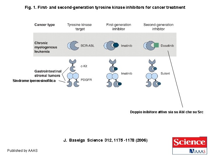 Fig. 1. First- and second-generation tyrosine kinase inhibitors for cancer treatment Sindrome ipereosinofilica Doppio