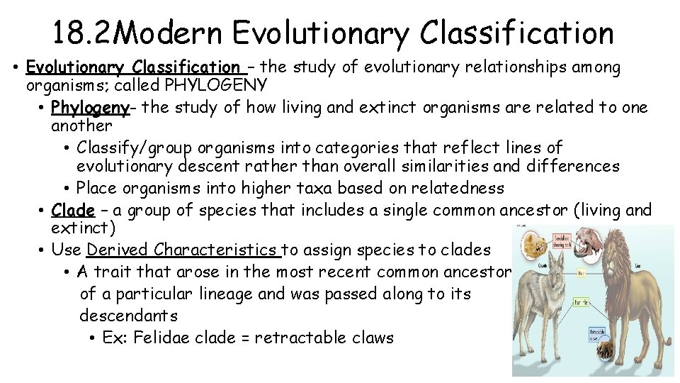 18. 2 Modern Evolutionary Classification • Evolutionary Classification – the study of evolutionary relationships