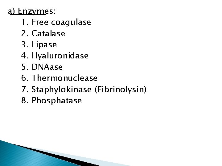 a) Enzymes: 1. Free coagulase 2. Catalase 3. Lipase 4. Hyaluronidase 5. DNAase 6.