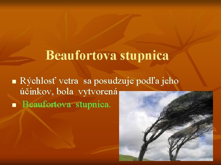 Beaufortova stupnica n n Rýchlosť vetra sa posudzuje podľa jeho účinkov, bola vytvorená Beaufortova
