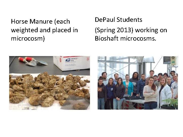 Horse Manure (each weighted and placed in microcosm) De. Paul Students (Spring 2013) working