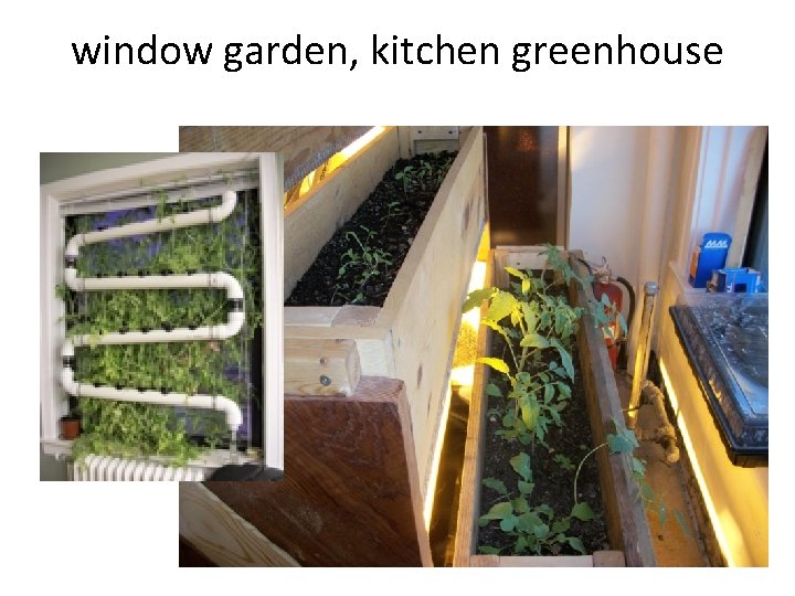 window garden, kitchen greenhouse 