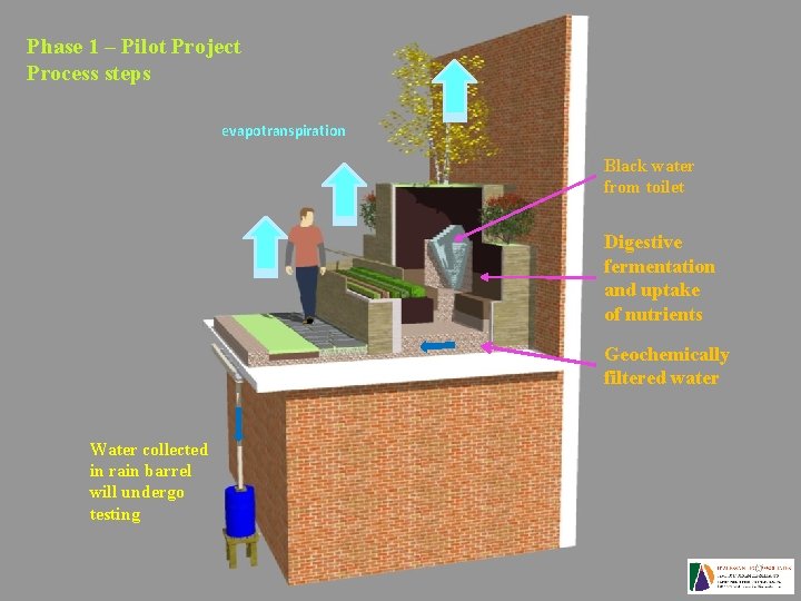 Phase 1 – Pilot Project Process steps evapotranspiration Black water from toilet Digestive fermentation