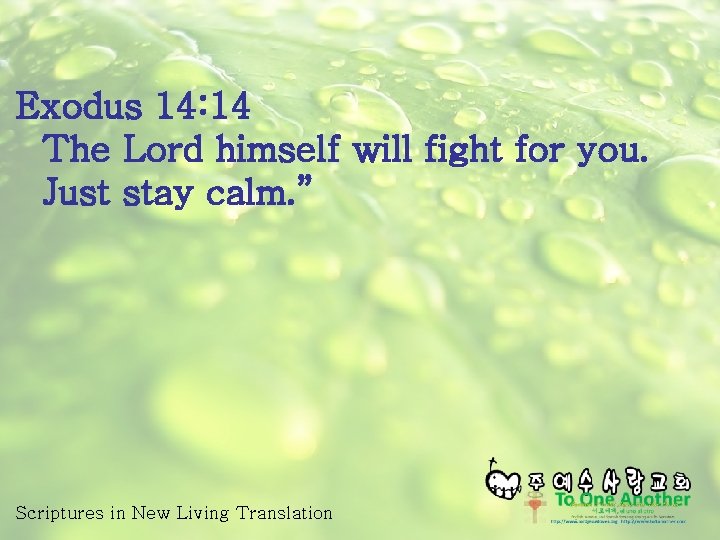 Exodus 14: 14 The Lord himself will fight for you. Just stay calm. ”