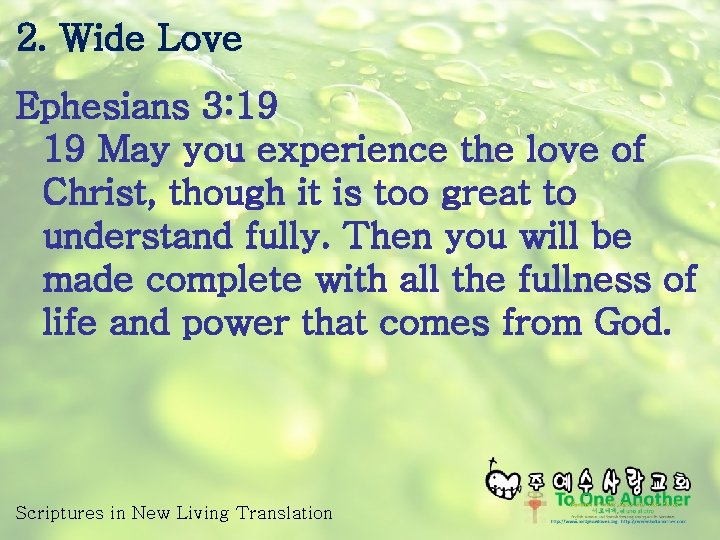2. Wide Love Ephesians 3: 19 19 May you experience the love of Christ,