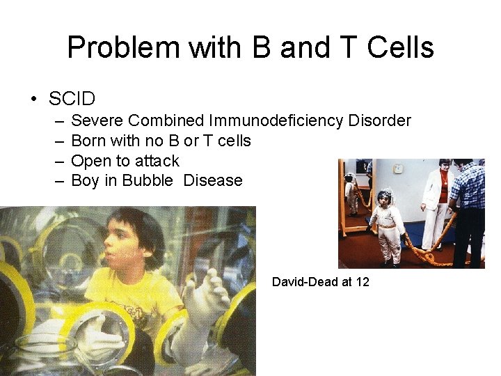 Problem with B and T Cells • SCID – – Severe Combined Immunodeficiency Disorder