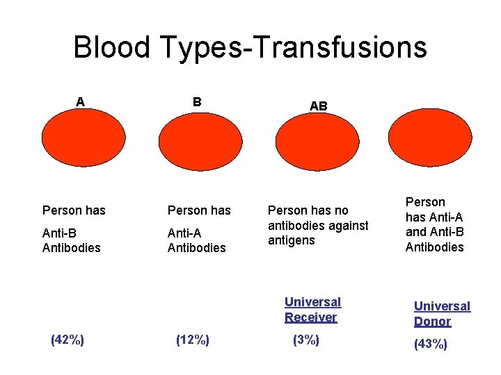 Blood Types-Transfusions A B AB Person has Anti-B Antibodies Anti-A Antibodies Person has no