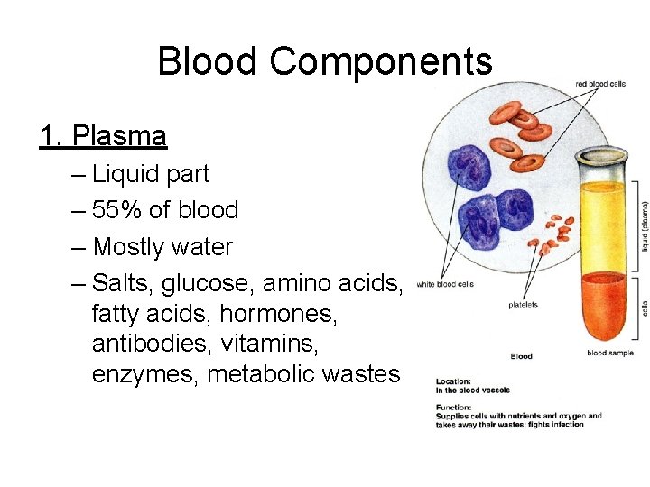 Blood Components 1. Plasma – Liquid part – 55% of blood – Mostly water