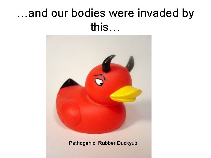 …and our bodies were invaded by this… Pathogenic Rubber Duckyus 