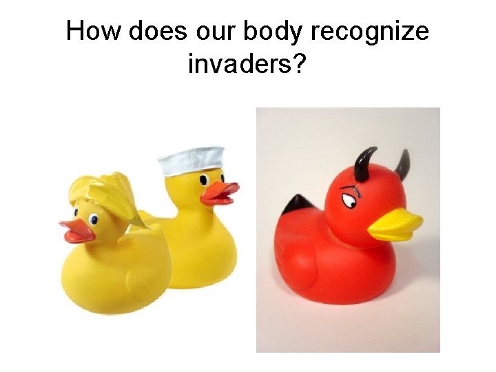How does our body recognize invaders? 