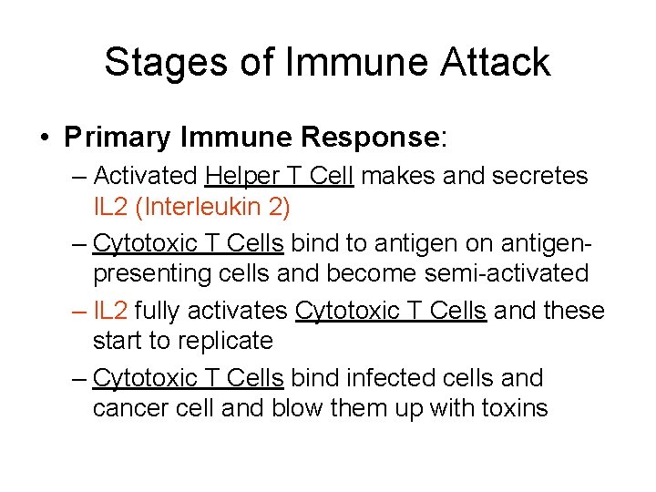 Stages of Immune Attack • Primary Immune Response: – Activated Helper T Cell makes