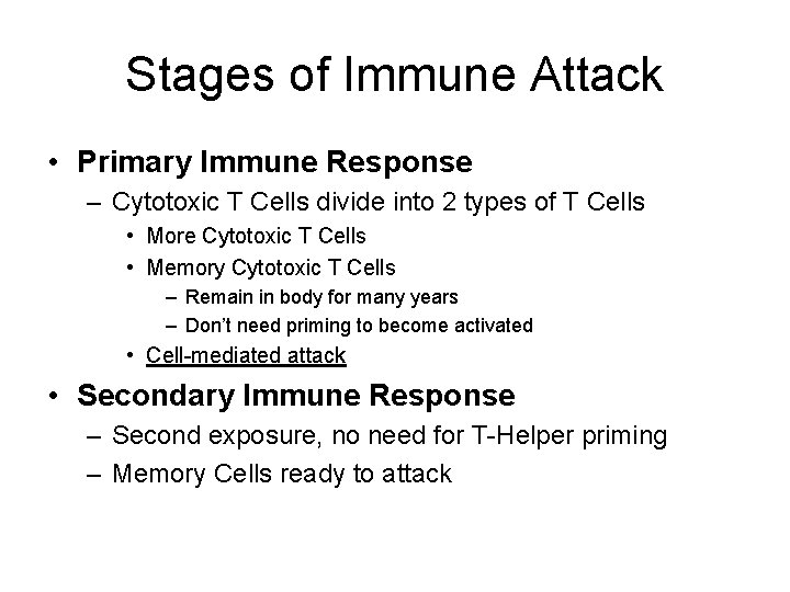 Stages of Immune Attack • Primary Immune Response – Cytotoxic T Cells divide into