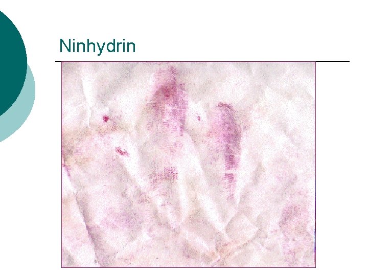 Ninhydrin 