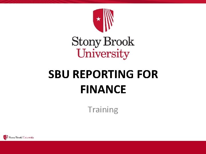 SBU REPORTING FOR FINANCE Training 