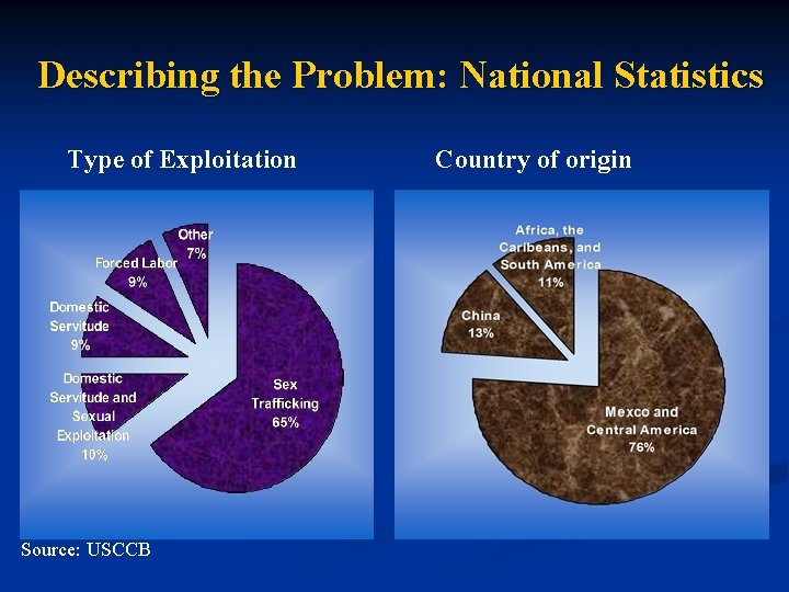 Describing the Problem: National Statistics Type of Exploitation Source: USCCB Country of origin 