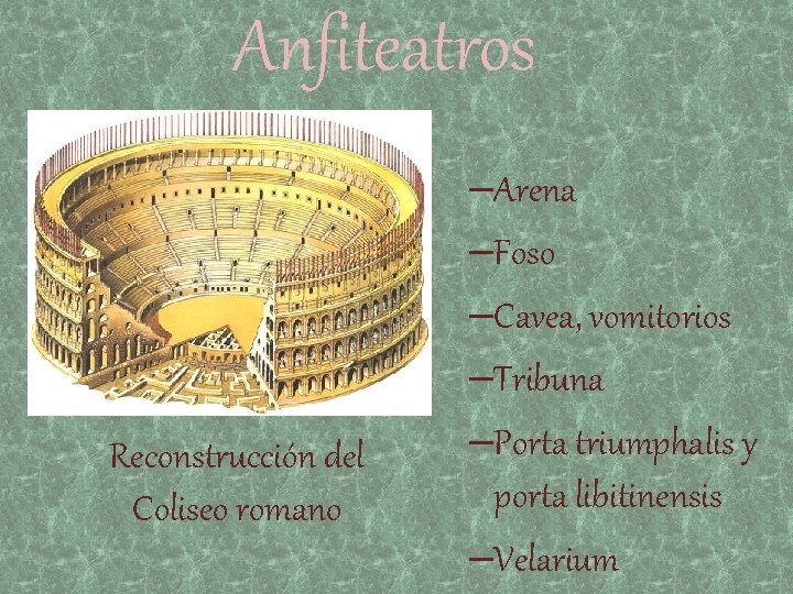 Anfiteatros Reconstrucción del Coliseo romano –Arena –Foso –Cavea, vomitorios –Tribuna –Porta triumphalis y porta