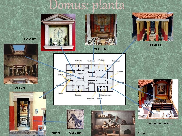 Domus: planta LARARIUM PERISTILUM TABLINUM CUBICULUM ATRIUM TRICLINIUM Y EXEDRA FAUCES CAVE CANEM CULINA