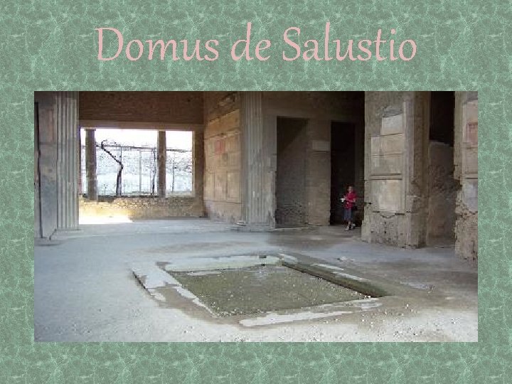 Domus de Salustio 