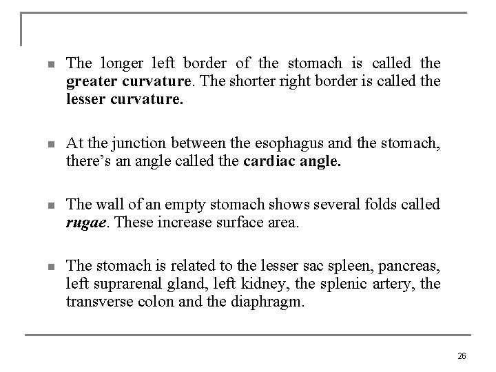 n The longer left border of the stomach is called the greater curvature. The