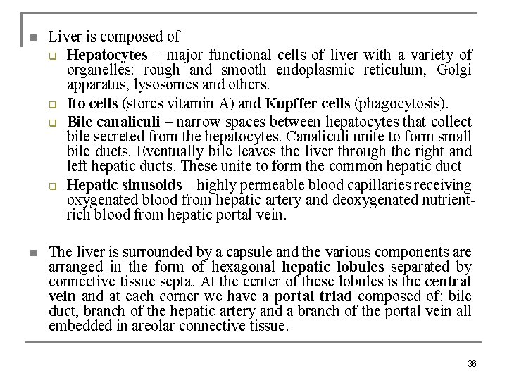 n Liver is composed of q Hepatocytes – major functional cells of liver with