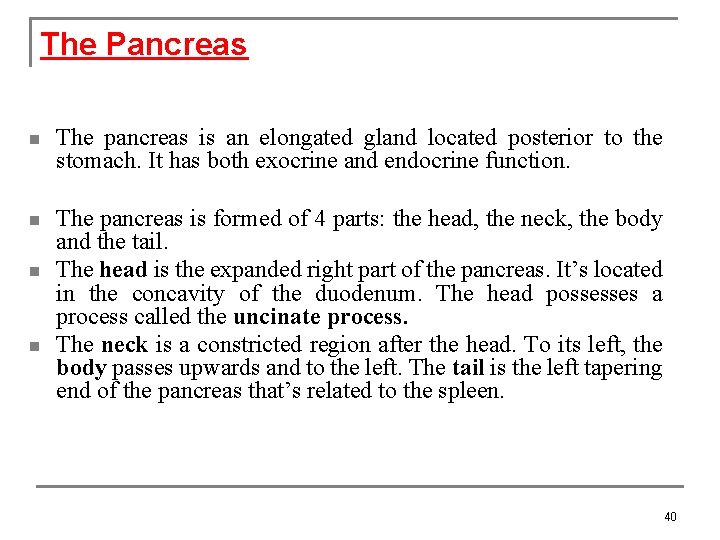 The Pancreas n The pancreas is an elongated gland located posterior to the stomach.