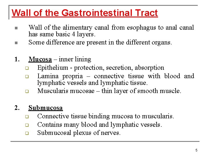 Wall of the Gastrointestinal Tract n n Wall of the alimentary canal from esophagus