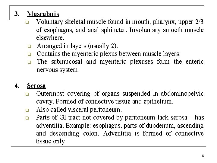 3. Muscularis q Voluntary skeletal muscle found in mouth, pharynx, upper 2/3 of esophagus,