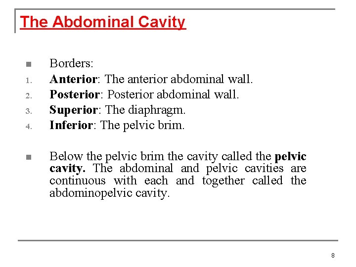 The Abdominal Cavity n 1. 2. 3. 4. n Borders: Anterior: The anterior abdominal