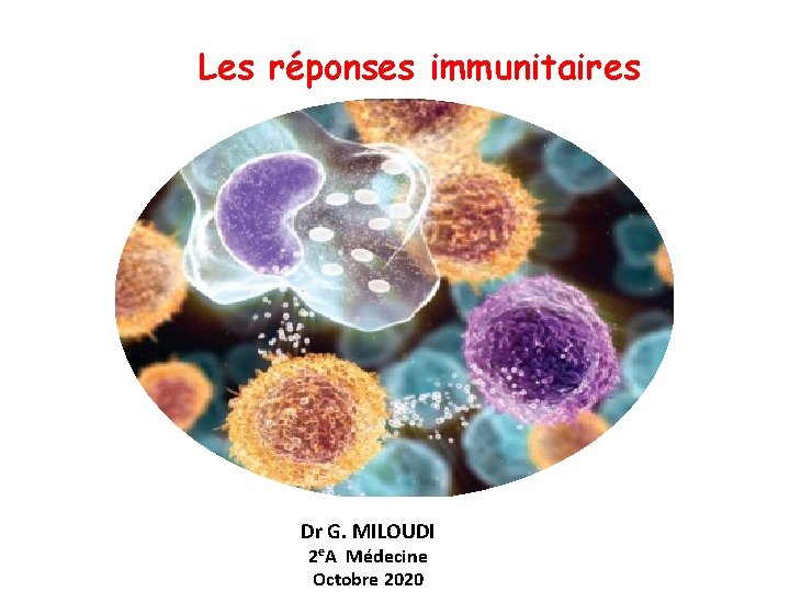 Les réponses immunitaires Dr G. MILOUDI 2 e. A Médecine Octobre 2020 