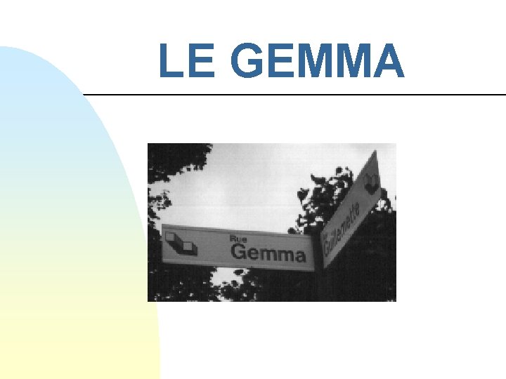 LE GEMMA 