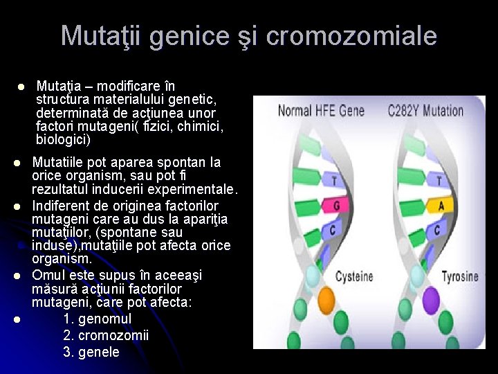 Mutaţii genice şi cromozomiale l l l Mutaţia – modificare în structura materialului genetic,