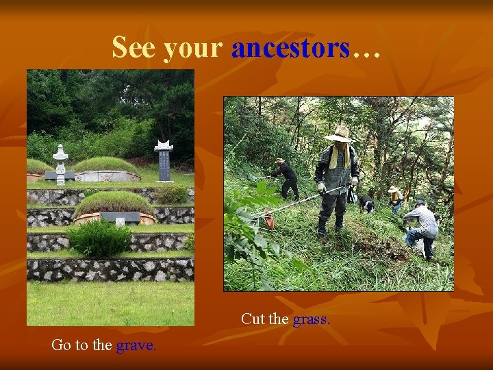 See your ancestors… Cut the grass. Go to the grave. 
