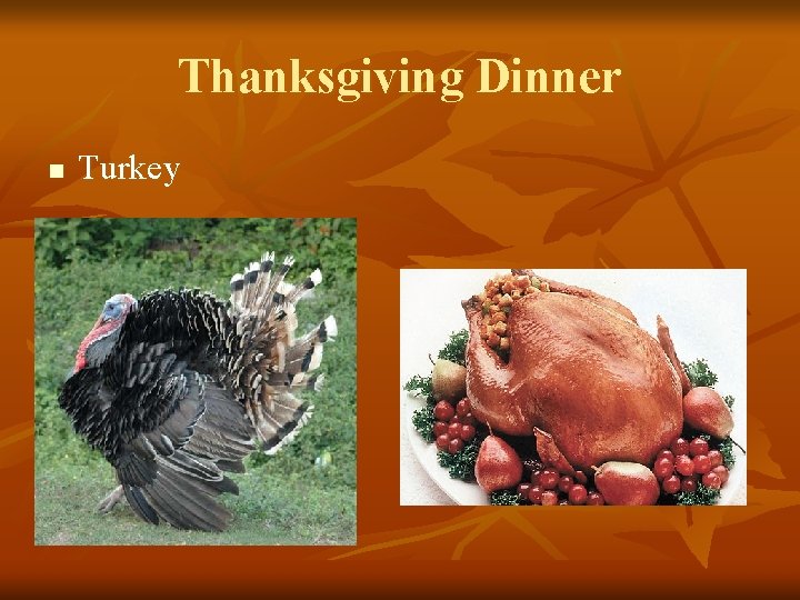 Thanksgiving Dinner n Turkey 