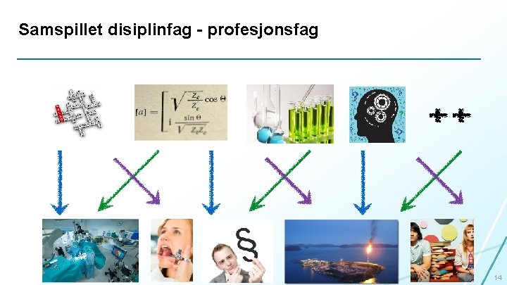 Samspillet disiplinfag - profesjonsfag 14 