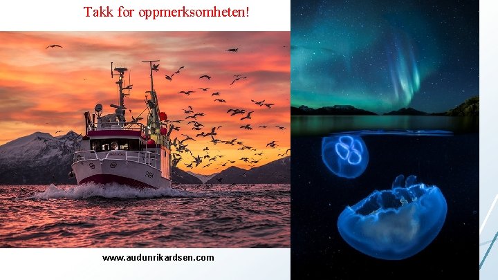 Takk for oppmerksomheten! www. audunrikardsen. com 