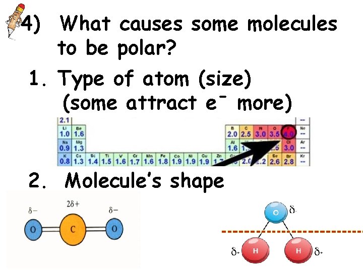 4) What causes some molecules to be polar? 1. Type of atom (size) (some 4) What causes some molecules to be polar? 1. Type of atom (size) (some