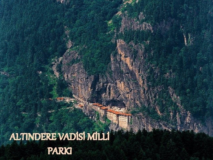 ALTINDERE VADİSİ MİLLİ PARKI 