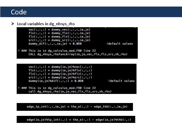 Code Ø Local variables in dg_nhsys_rhs 