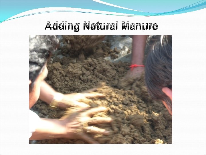 Adding Natural Manure 