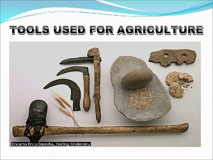 TOOLS USED FOR AGRICULTURE 