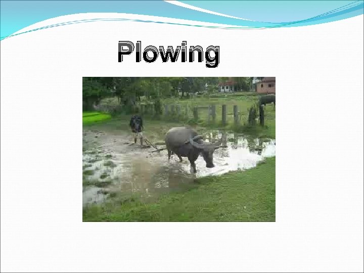 Plowing 