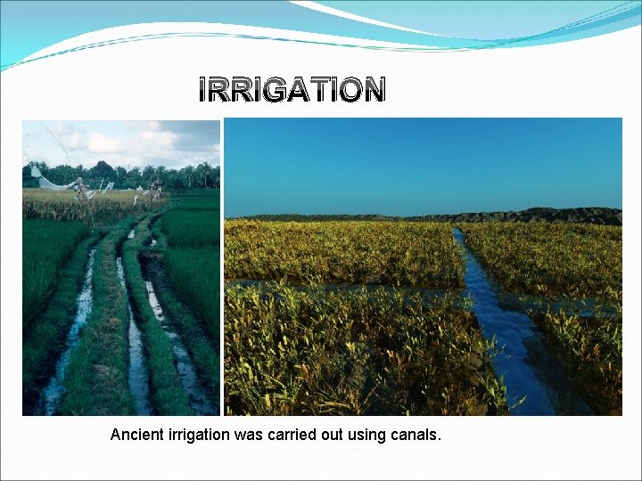 IRRIGATION Ancient irrigation was carried out using canals. 