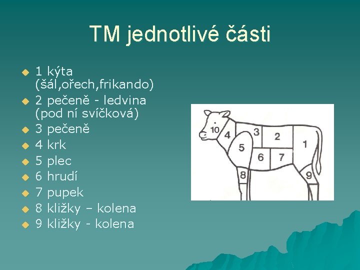 TM jednotlivé části u u u u u 1 kýta (šál, ořech, frikando) 2