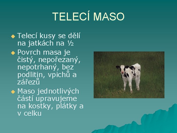 TELECÍ MASO Telecí kusy se dělí na jatkách na ½ u Povrch masa je