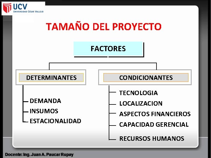 TAMAÑO DEL PROYECTO FACTORES DETERMINANTES DEMANDA INSUMOS ESTACIONALIDAD CONDICIONANTES TECNOLOGIA LOCALIZACION ASPECTOS FINANCIEROS CAPACIDAD